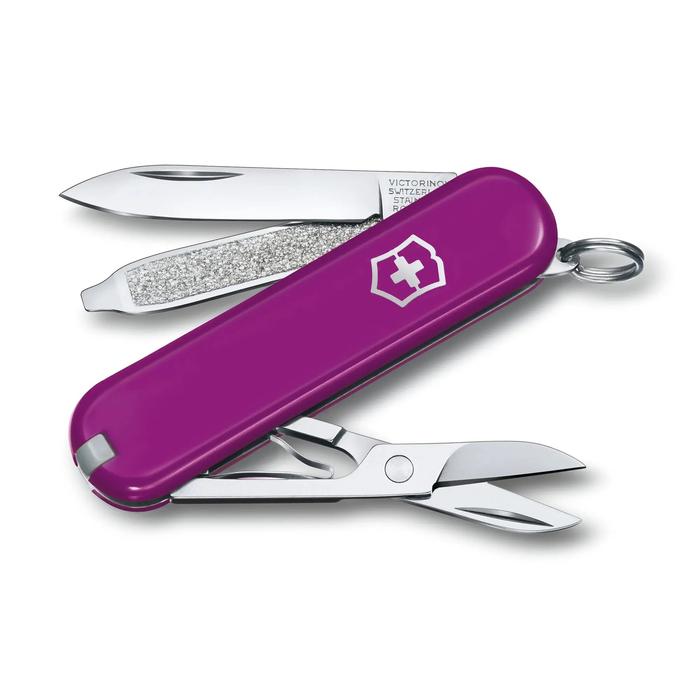 CORTAPLUMAS CLASSIC VIOLETA