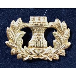EMBLEMA COLEGIO MILITAR DE LA NACION
